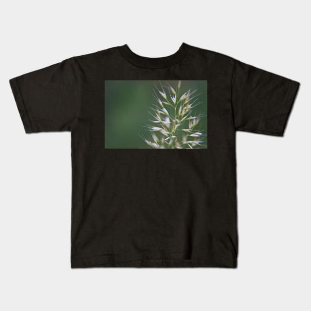 Grass Seeds Kids T-Shirt by InspiraImage